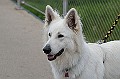 IMG_7030-200705-wkw - Arbeitskopie 2